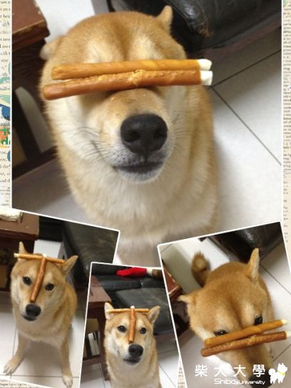 醃強~島輝進階版~頂頂-等等(原發表者:10R阿福)(相簿)