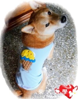 改造冰淇淋(原發表者:MIMI&BOSS麻)(相簿)