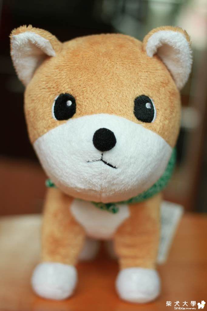 兄弟(原發表者:阿肥)(相簿)