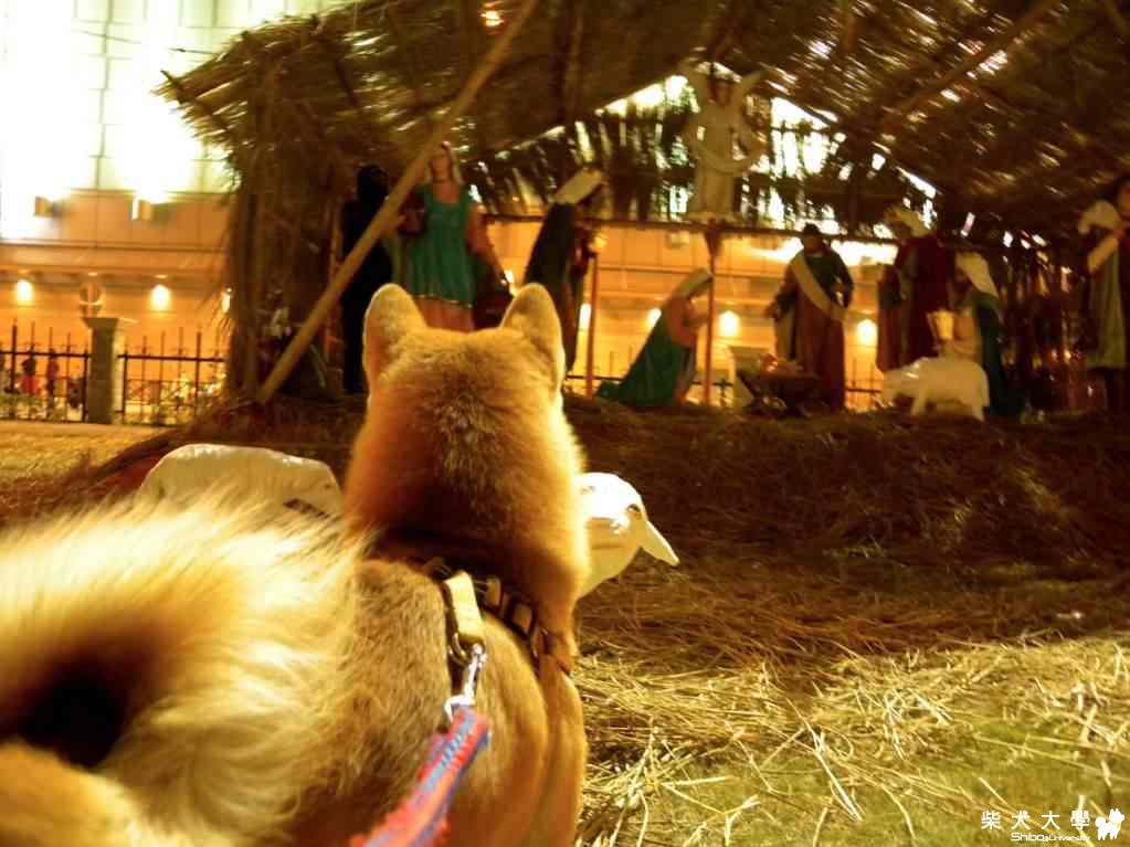 思考題(原發表者:阿肥)(相簿)