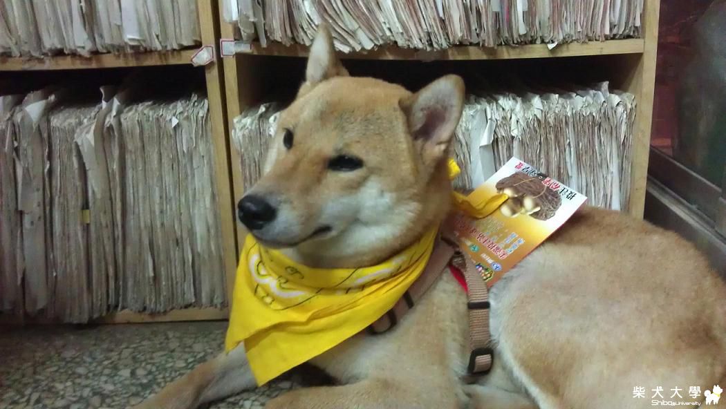 威力"采"沒中威力彩(原發表者:采柴家)(相簿)