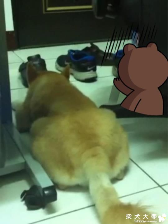 不要在下雨了啦(原發表者:咪醬媽)(相簿)