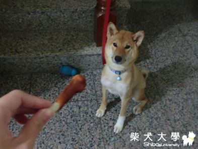 不要誘惑我啦!!!(原發表者:Show♥布丁)(相簿)