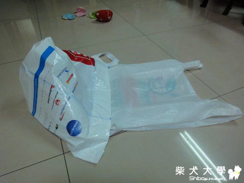 雨衣...中看不中用(原發表者:澎將哥)(相簿)