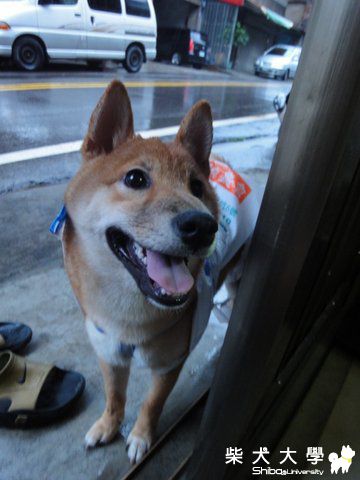 雨衣進化版(原發表者:澎將哥)(相簿)