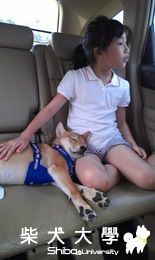 8/4.5連操2天RyuU將累翻了(原發表者:龍之爸)(相簿)