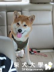 各位好久不見 :)(原發表者:溜溜麻)(相簿)