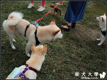 2012夏日運動會 / ma醬家版 / 圖多(原發表者:ma醬)(相簿)