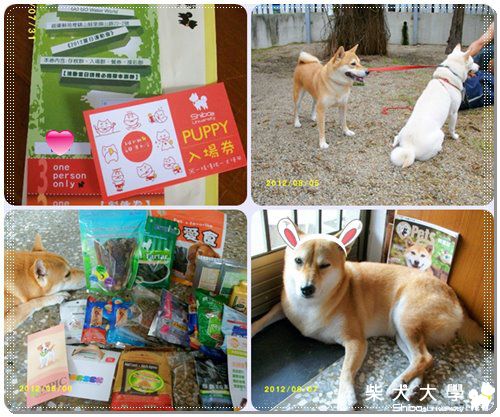 運動會戰利品(原發表者:MIMI&BOSS麻)(相簿)