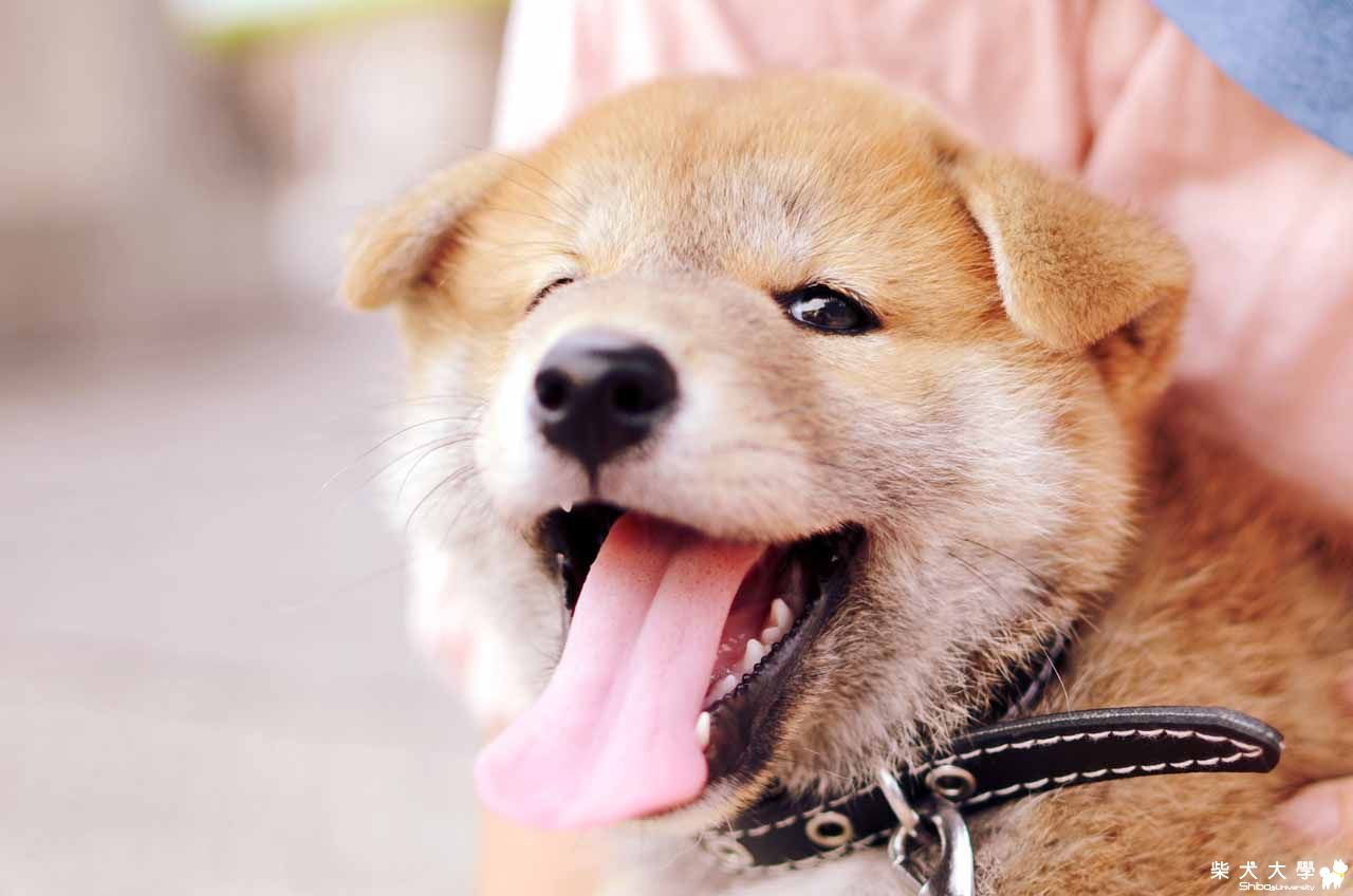 阿仔樓頂小郊遊(原發表者:朱元宏)(相簿)