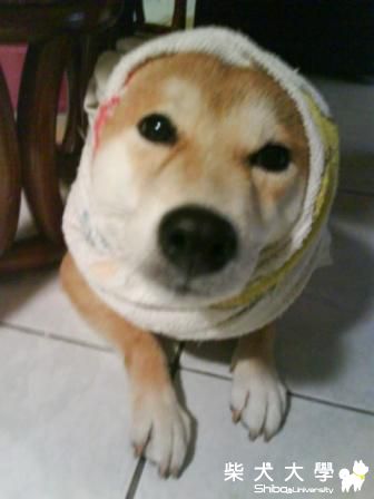 下大雨打大雷~我好害怕哦!!(原發表者:恰恰姐)(相簿)