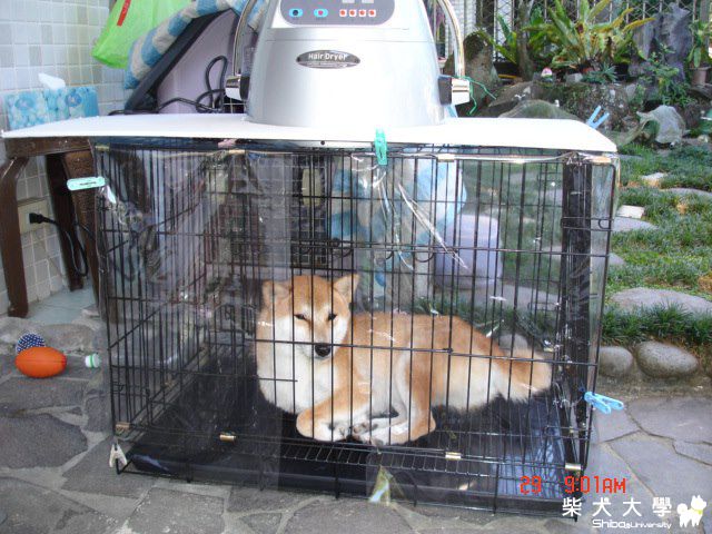 幸福小貴婦做spa(原發表者:peigo)(相簿)