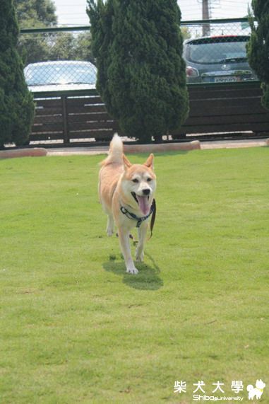 咪醬柏林與寵物展初體驗  PART 2(原發表者:咪醬媽)(相簿)