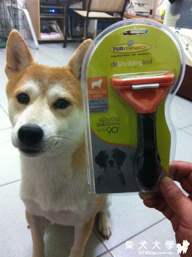 咪醬也愛敗家!寵物展添購新行頭(原發表者:咪醬媽)(相簿)