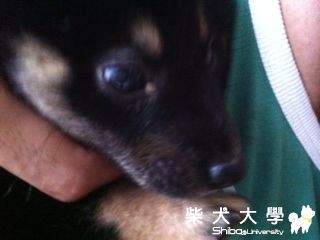 妹妹眼睛怪怪的(原發表者:小黑妹)(相簿)