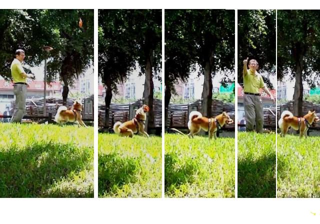 拔拔的喜悅--吉谷這一週的體育課-101.8.25-26.(原發表者:吉谷家)(相簿)