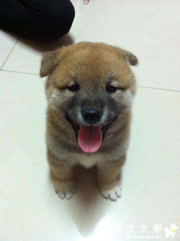 澎將回顧.........(原發表者:澎將哥)(相簿)