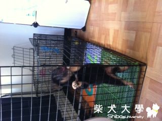 一切都回不去了~(拭淚(原發表者:小黑妹)(相簿)