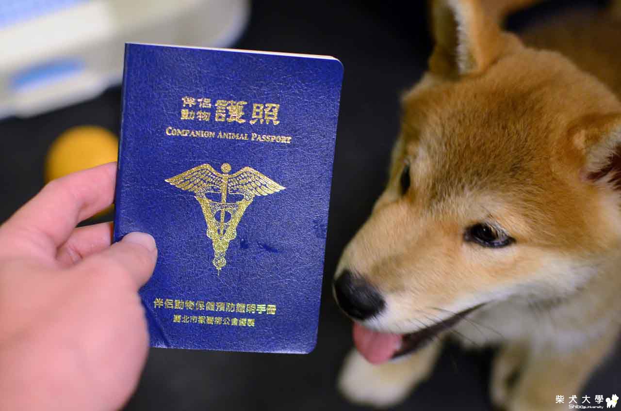 阿仔。第一本護照(原發表者:朱元宏)(相簿)