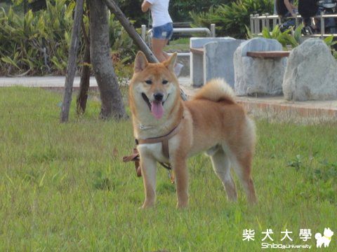 英姿~帥啦!(原發表者:澎將哥)(相簿)