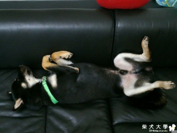 李XX的銀照算什麼 我們也有露點照~(原發表者:皮梅媽)(相簿)