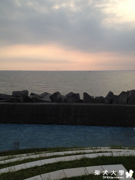 Qちゃん近照(原發表者:雨過得彩虹)(相簿)