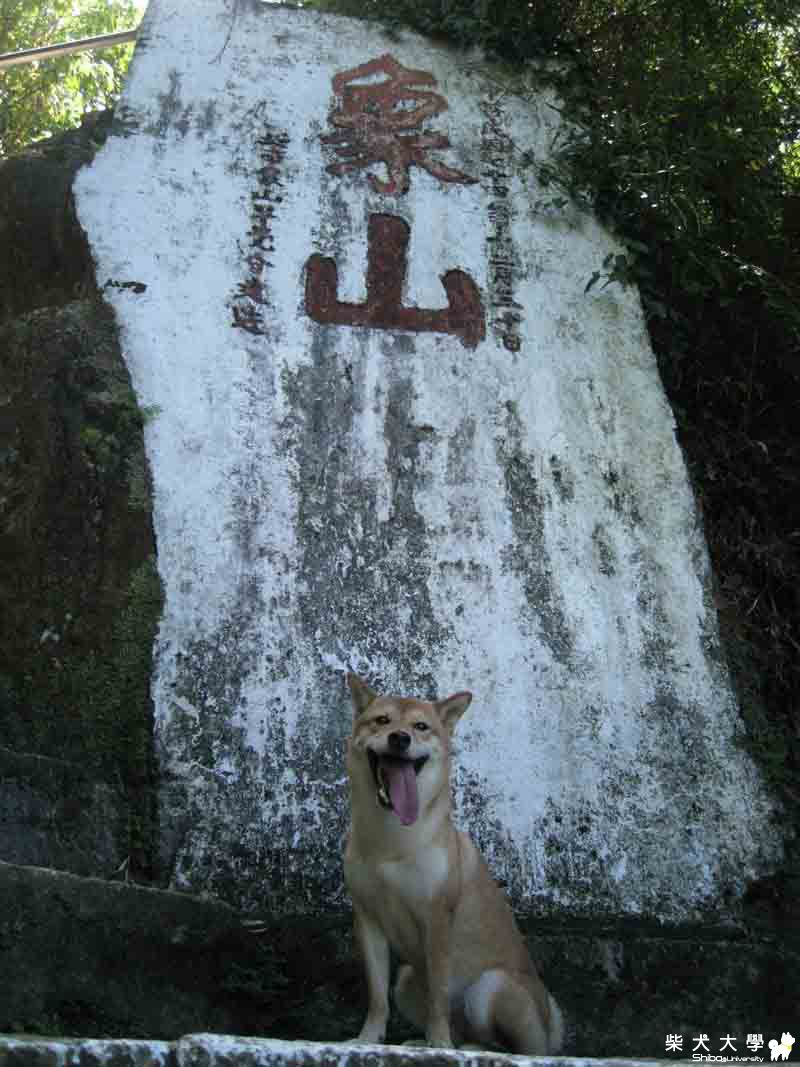 象山登頂(原發表者:ikeyama36)(相簿)