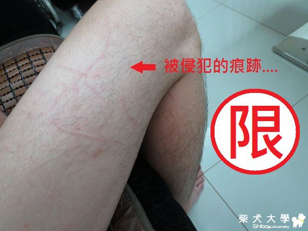 球球‧侵犯球拔 (限)(原發表者:球球a麻)(相簿)