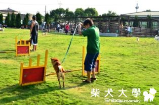 阿財台中柏林遊(原發表者:bgn357)(相簿)