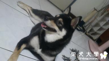 真的變熟女了..........(原發表者:COLA拔)(相簿)