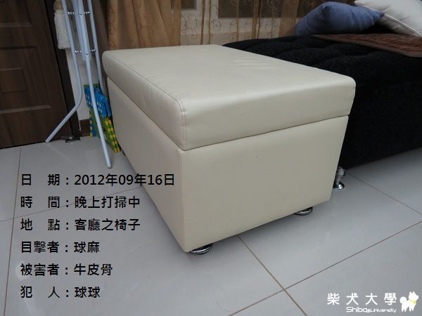 球球‧祕密的藏寶箱(原發表者:球球a麻)(相簿)