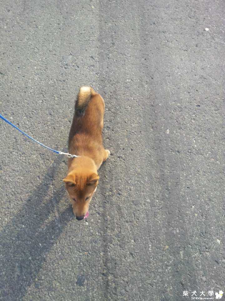 20120922~0923來福生活照(原發表者:tn704545)(相簿)