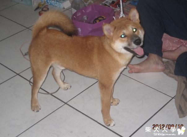 你的笑容 有我燦爛嗎??(原發表者:天生神準)(相簿)