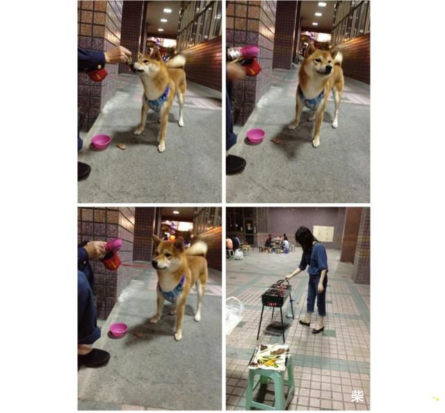 吉谷參加中秋家族烤肉趣-祝大家中秋節快樂(原發表者:吉谷家)(相簿)