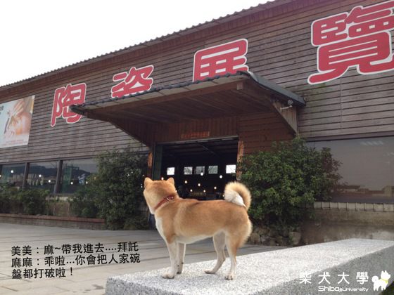 鶯歌 三鶯藝術村(原發表者:nicole92)(相簿)