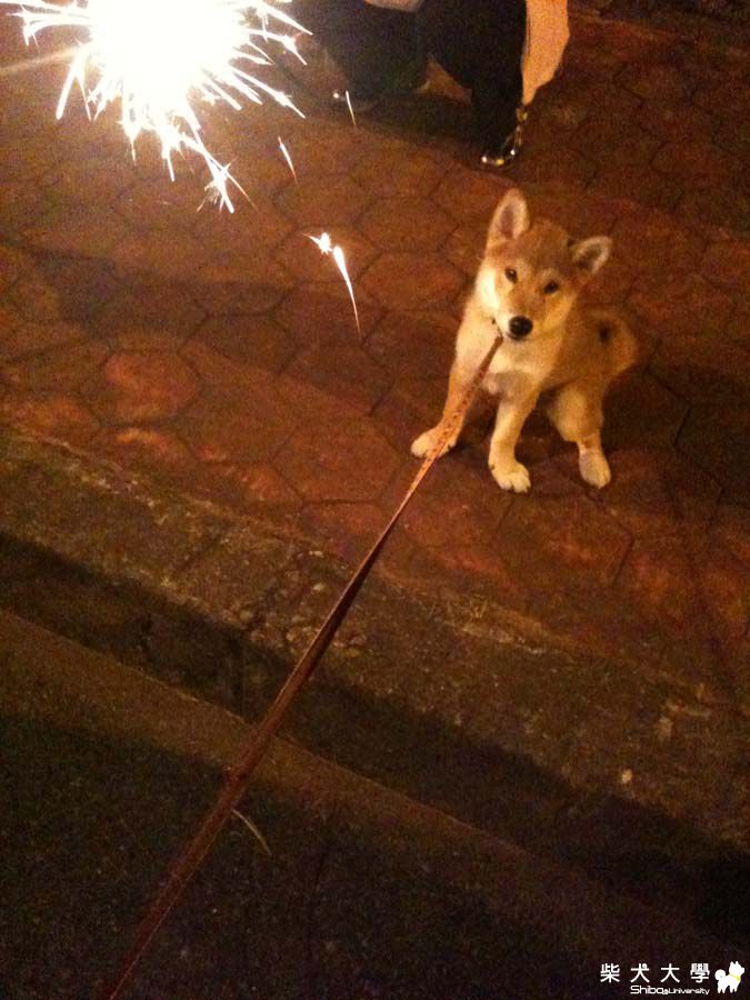 阿仔。過中秋(原發表者:朱元宏)(相簿)