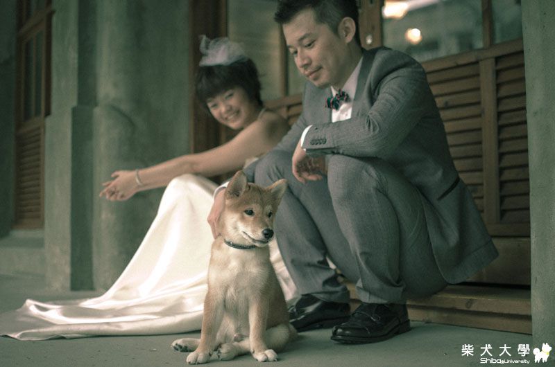 阿仔。拍婚紗(原發表者:朱元宏)(相簿)