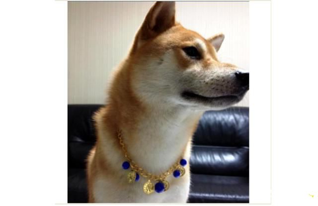 吉谷跟丸子兼差當麻豆(原發表者:吉谷家)(相簿)