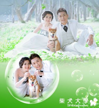 我也來~醃強婚紗照(今年1月份)(原發表者:10R阿福)(相簿)