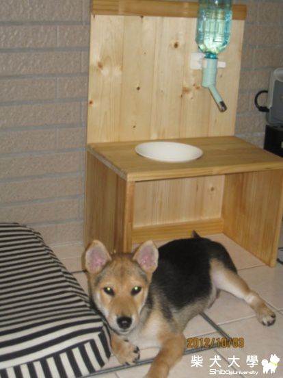 阿福的手工木作新餐桌(原發表者:阿福哥)(相簿)