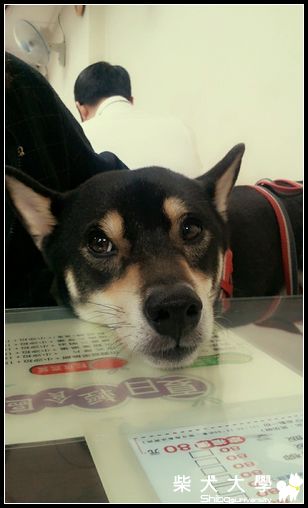 鼻孔特寫~!!!(原發表者:MOMO主人)(相簿)