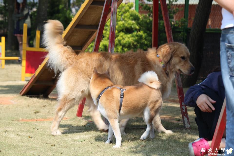 咪醬又來柏林玩樂(原發表者:咪醬媽)(相簿)