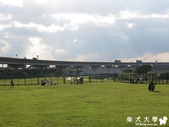 球球‧與阿仔之搞笑溫馨篇(原發表者:球球a麻)(相簿)