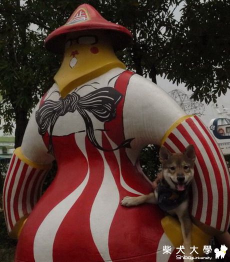 加祿寶的駁二+旗津之旅(原發表者:darren0529)(相簿)