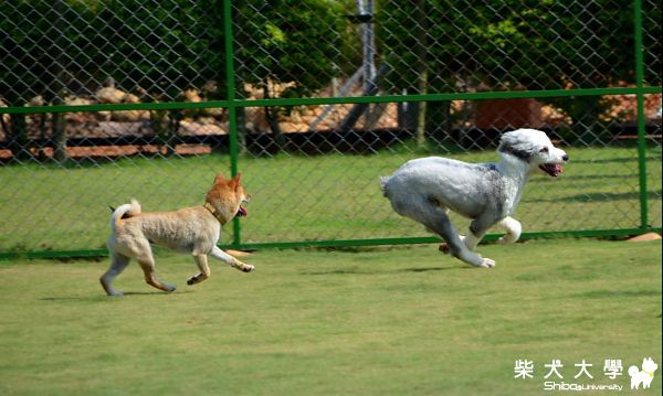 Nicky的異想世界(原發表者:Nicky拔)(相簿)