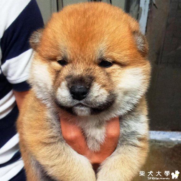 大家好！我是Marco，請多多指教。(原發表者:leodelune)(相簿)