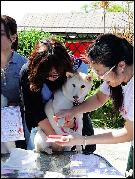 宜蘭小小柴聚 (ma醬家版)(原發表者:ma醬)(北部)
