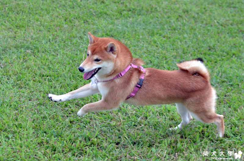 阿仔。那天迎風再見(原發表者:朱元宏)(相簿)