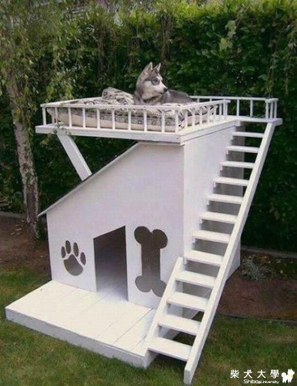 狗狗的可愛小屋~~~(原發表者:Frankie拔)(相簿)