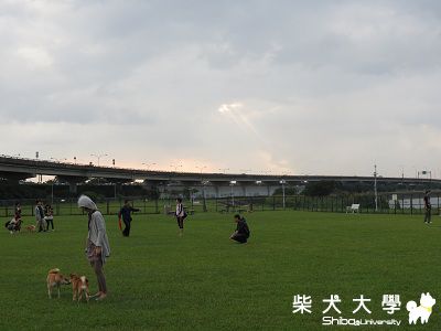 球球‧10月迎風秘辛(原發表者:球球a麻)(相簿)